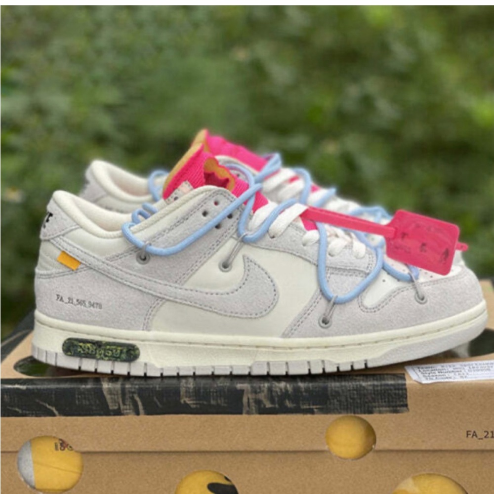 Nike off white dunks